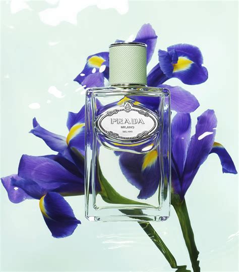 prada infusion d'iris similar|prada infusion d'iris 100ml.